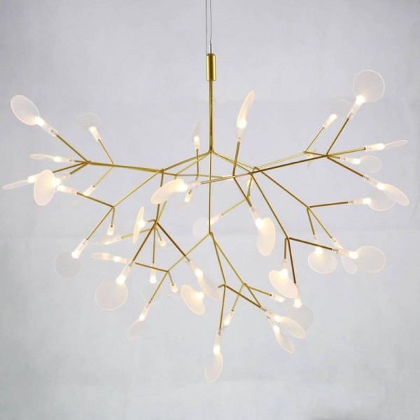 Heracleum chandelier