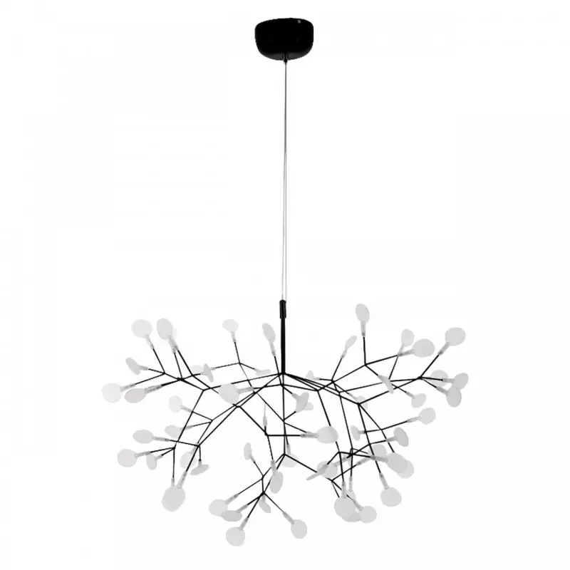 Heracleum Chandelier