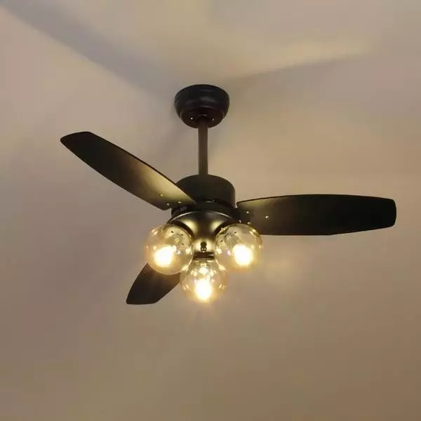 Lumière de ventilateur de plafond