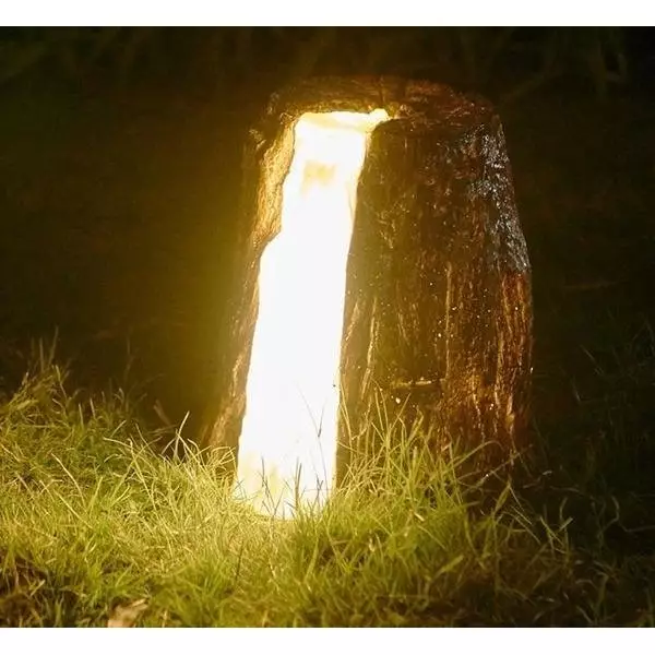 Cracked Stump Lamp