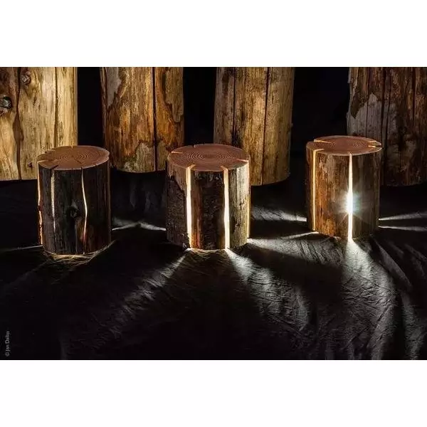 Cracked Stump Lamp