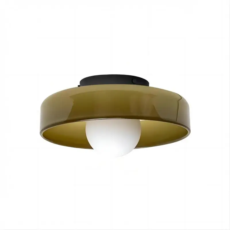 Morandi Disc Orb Wall Ceiling Lamp