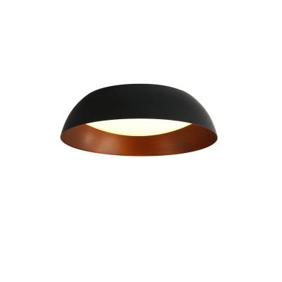 Lampada da soffitto...
