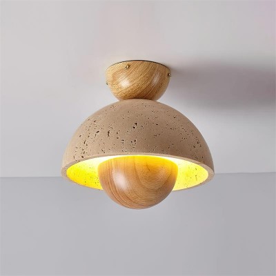 Lampada da soffitto...