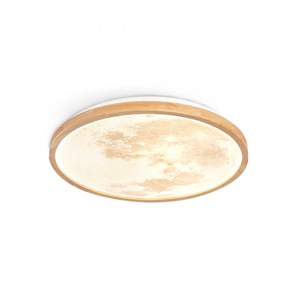 Emiva Ceiling Lamp