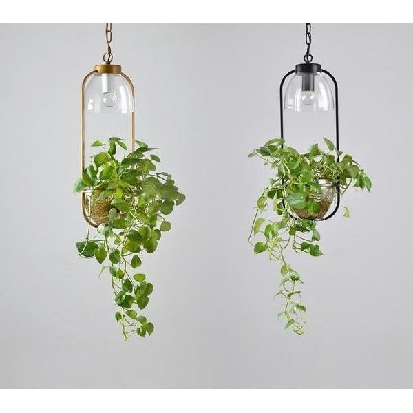 Glazen hanglamp met waterplanten