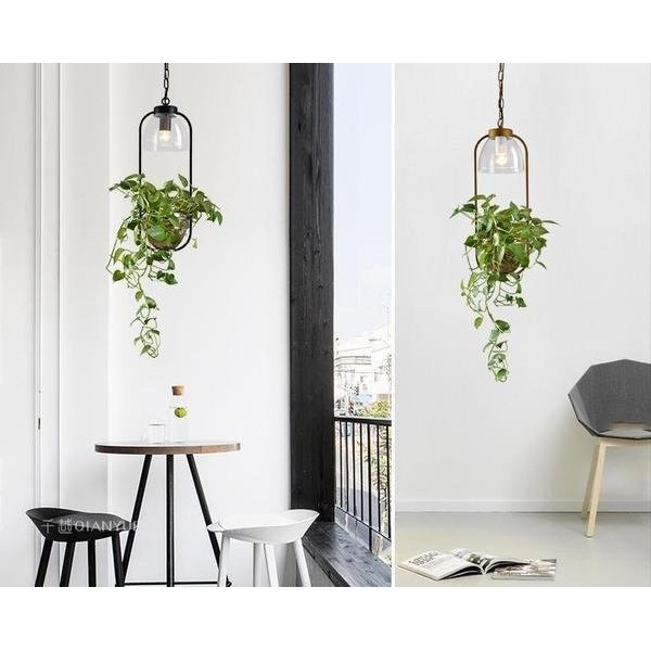 Glazen hanglamp met waterplanten