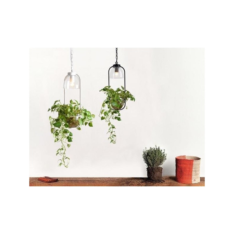 Lustre Suspension Plante