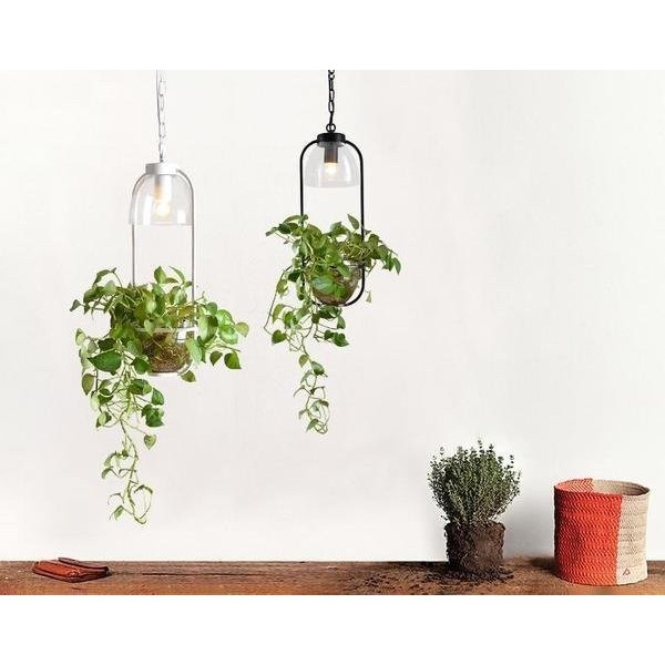 Lámpara colgante de vidrio para plantas de agua
