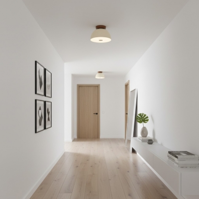 Lampada da soffitto retrò... 2