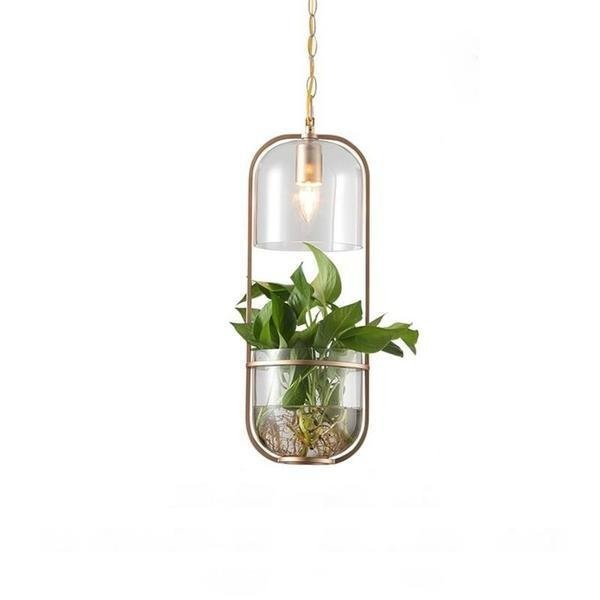 Lampe à suspension en verre pour plantes aquatiques