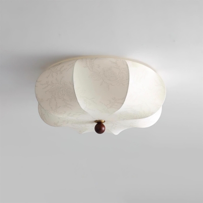 Lampada da soffitto...