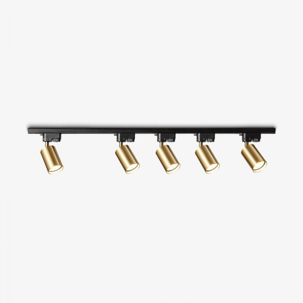 Adjustable Spotlight Track Ceiling Light D379