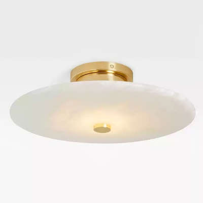 Lampada da soffitto Ankeny...