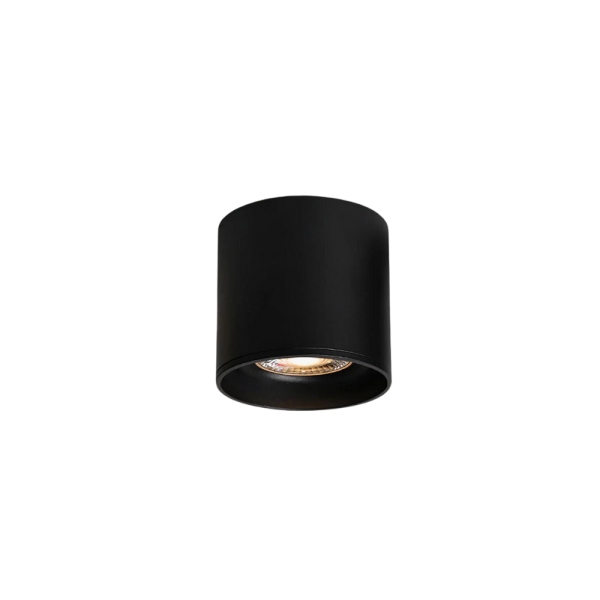 The Futuristic Ring Ceiling Light D779