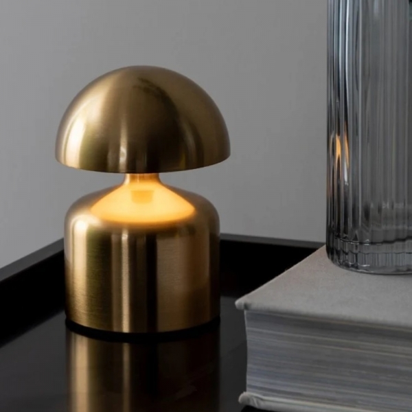 Luminous Nikkel Shine D844