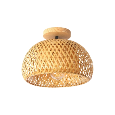Lampada da soffitto...