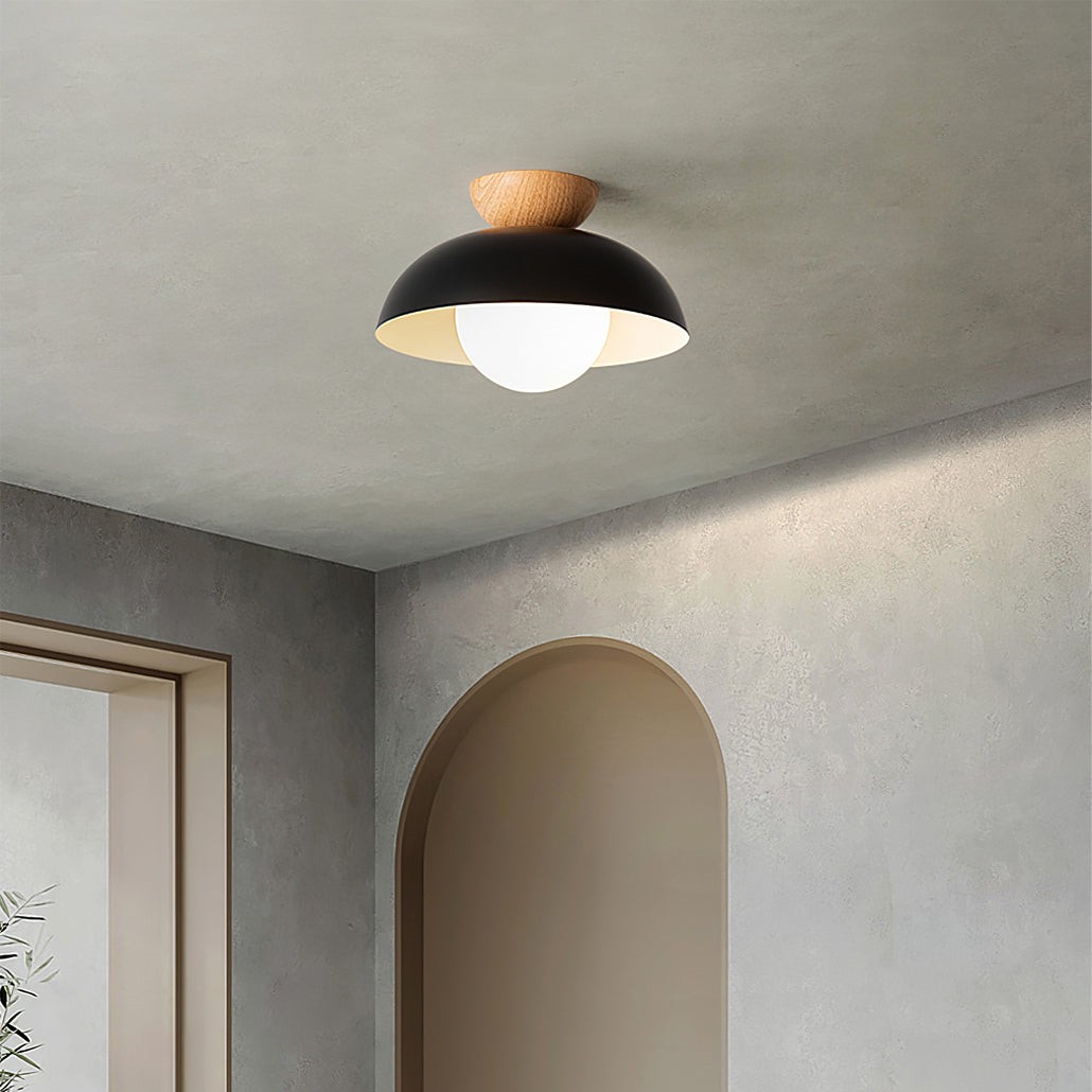 Scandinavian Iron Bowl Energy Efficient Ceiling Light K143
