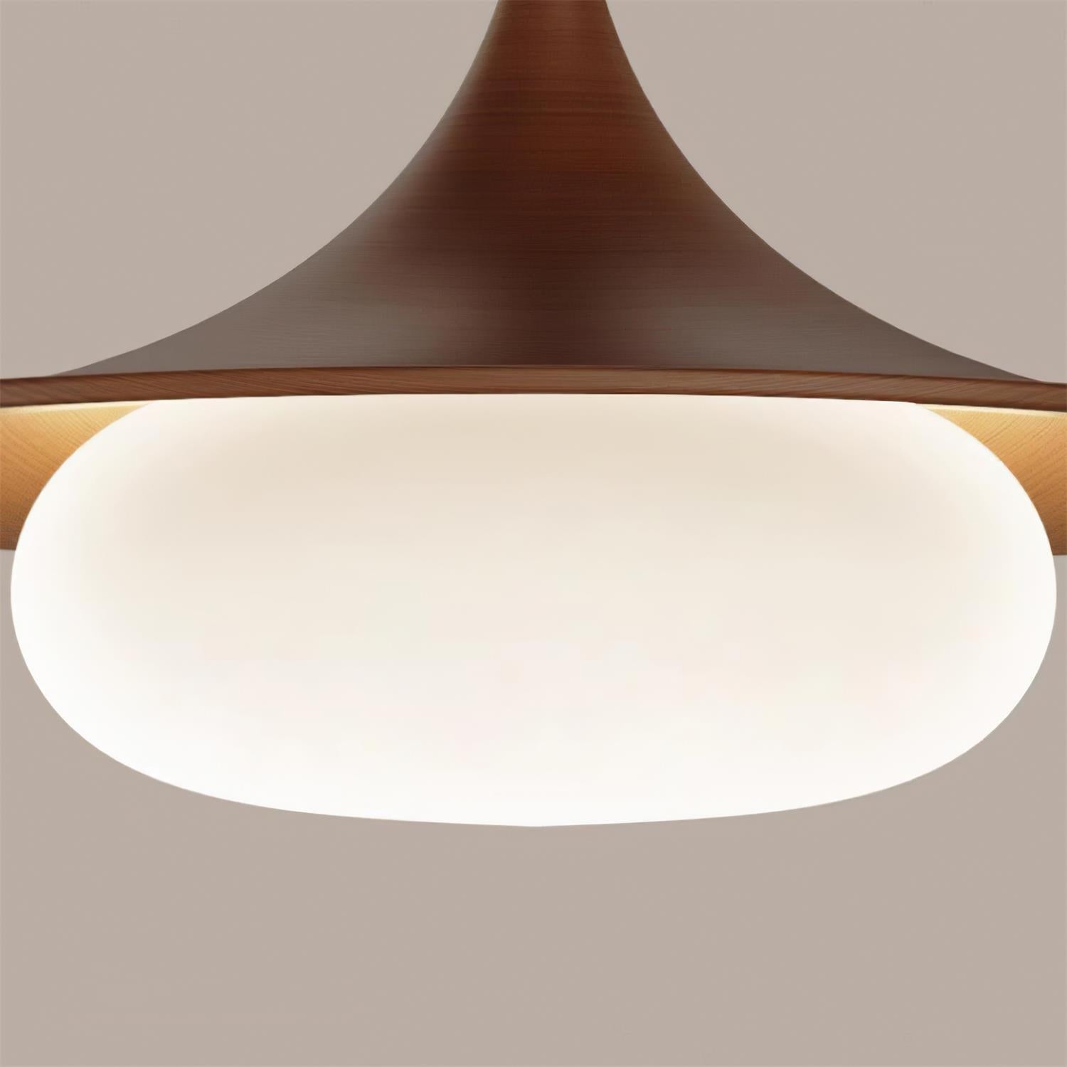 Molto Pendant Lamp D53