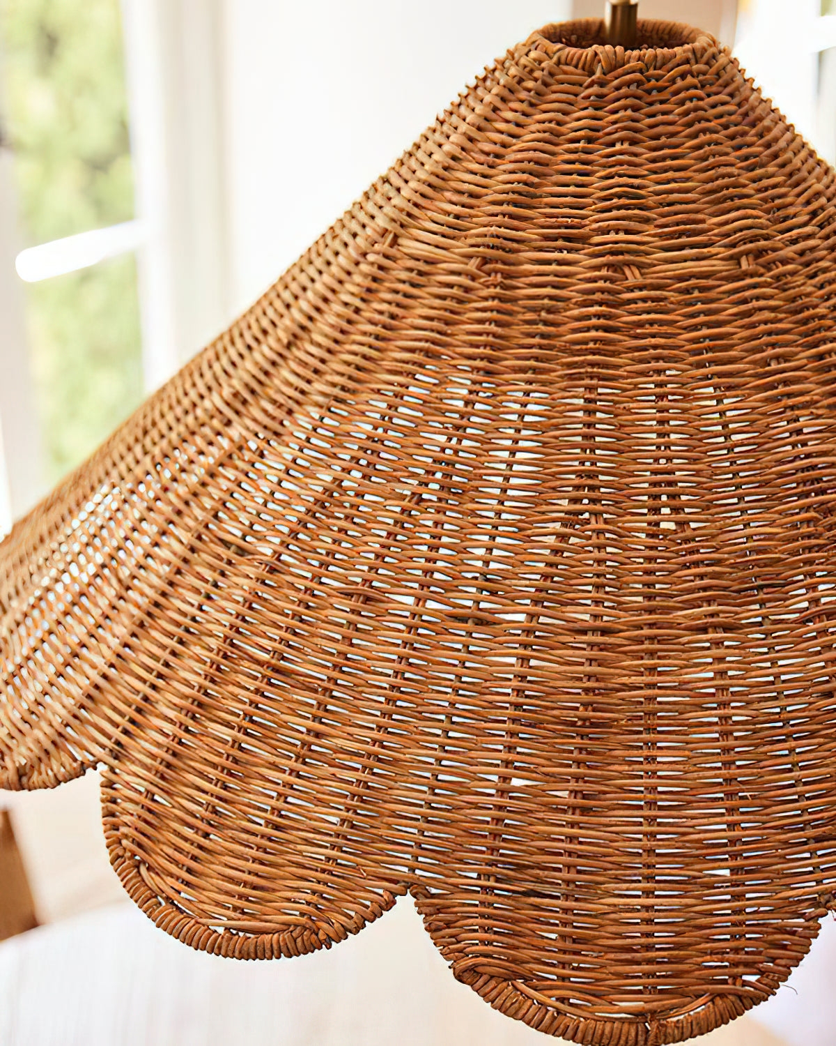 Scallop Pendant Lamp D309