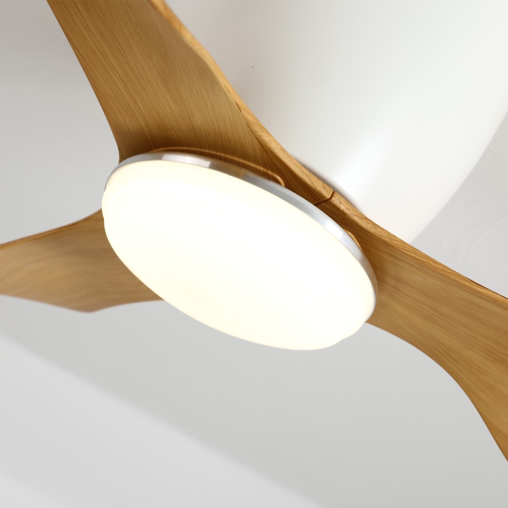 Kiki Nordic Ceiling Fan Lamp