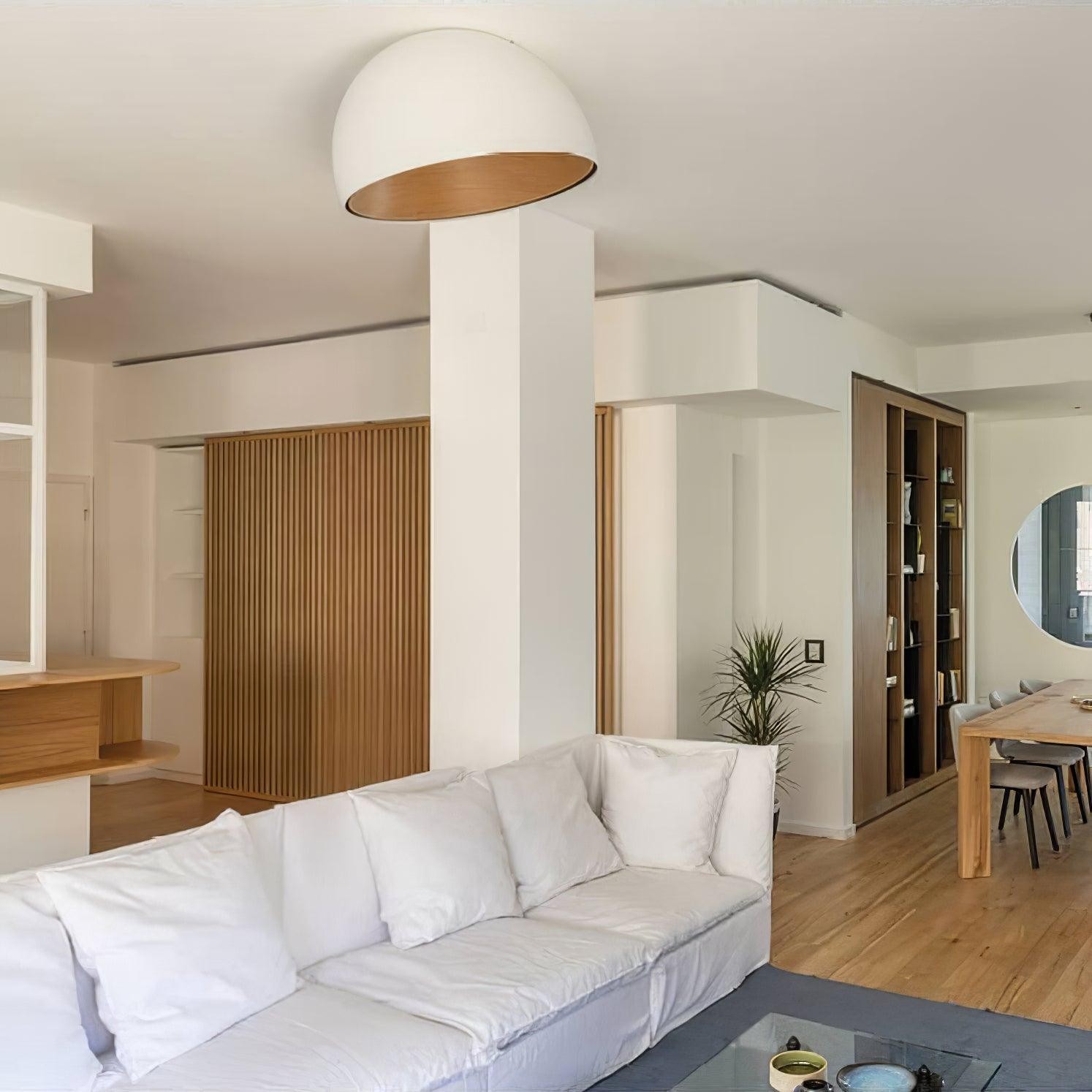 Simple Modern Nordic LED Eggshell Ceiling Lamp K360