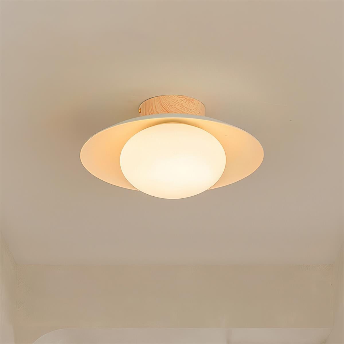 Dawn Creative Simplicity Ceiling Light K345
