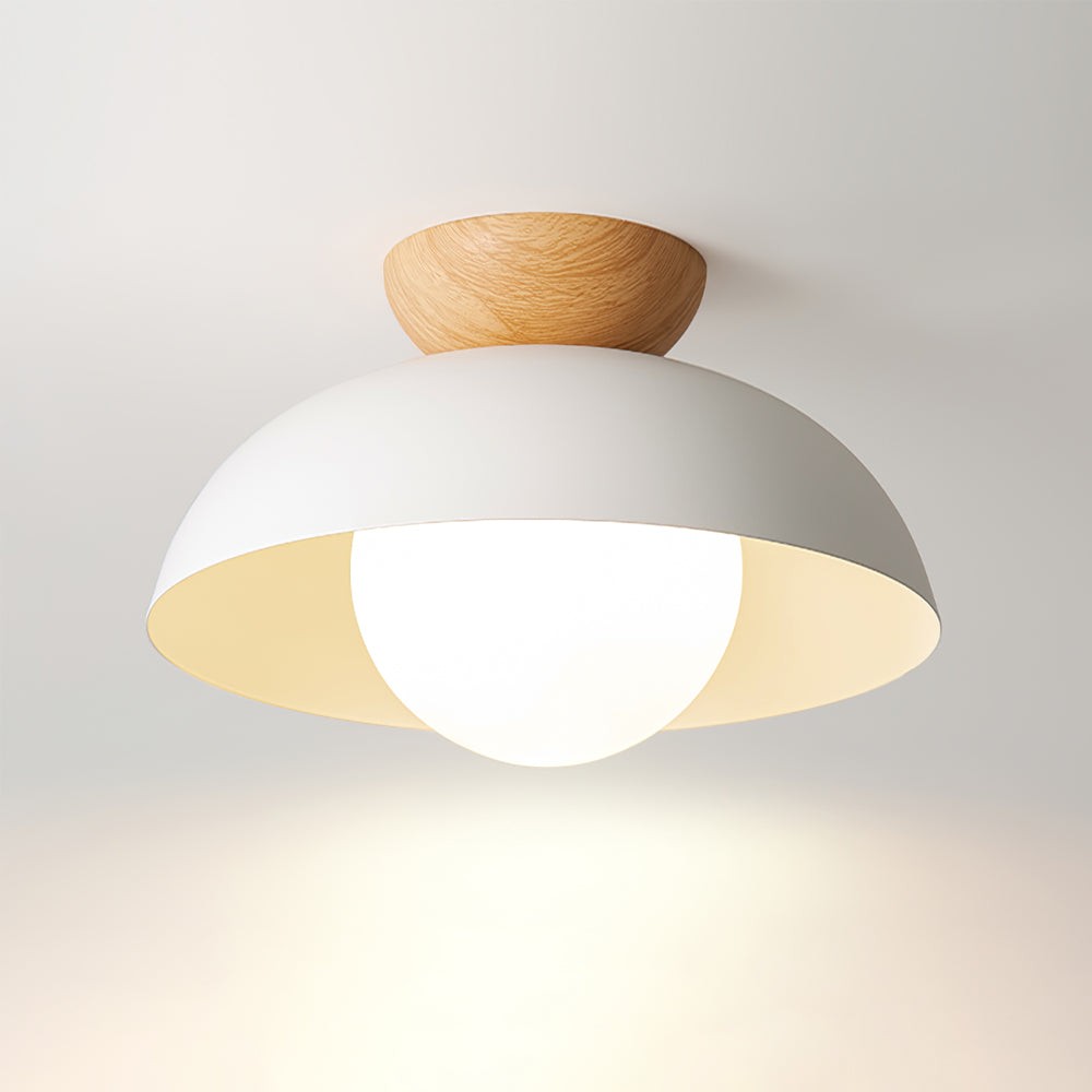 Scandinavian Iron Bowl Energy Efficient Ceiling Light K143
