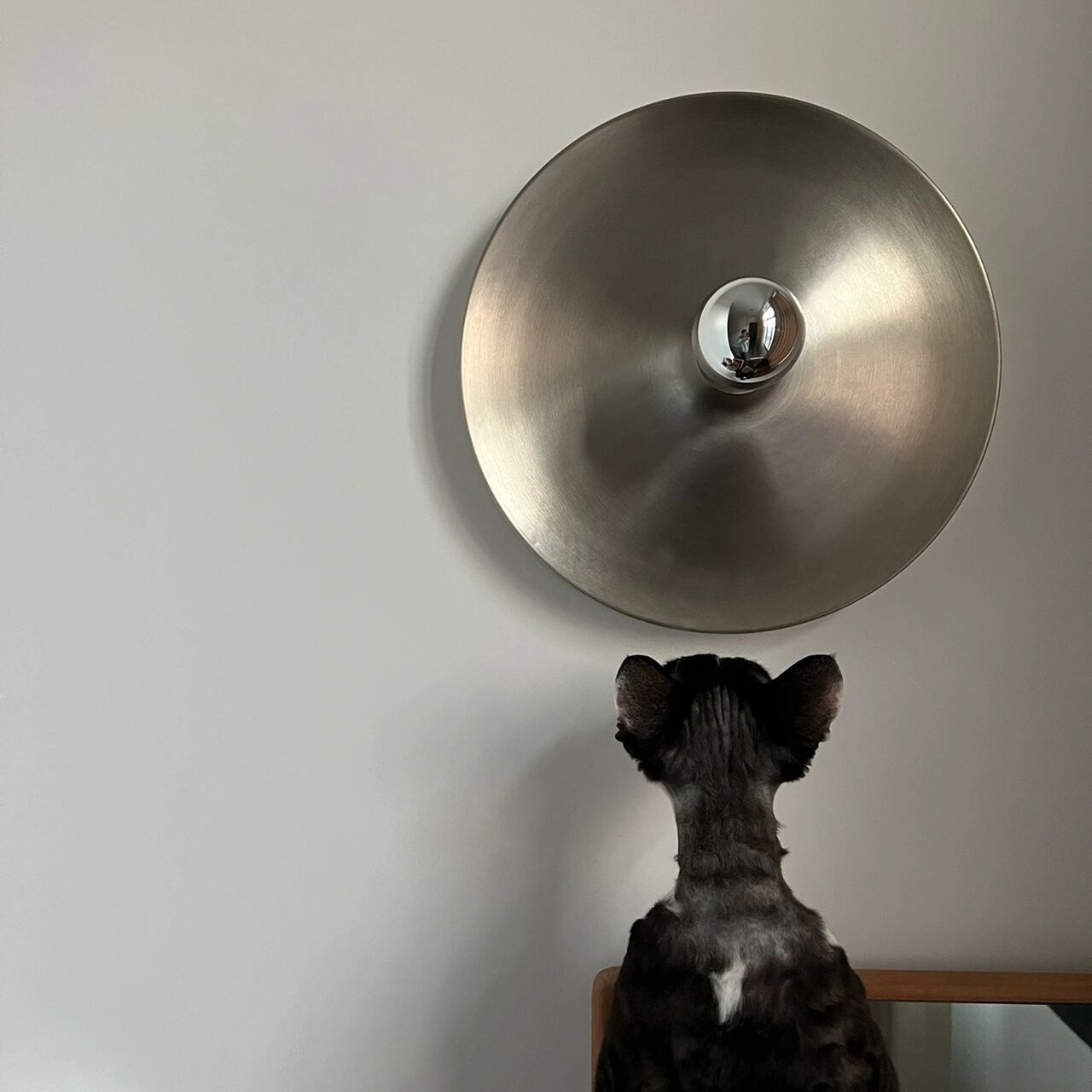 Space Age Disc Ceiling Lamp K1143