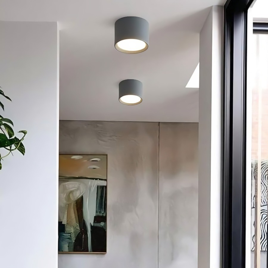 LED Ceiling Light