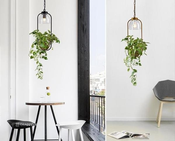 Water Plants Glass Pendant Light