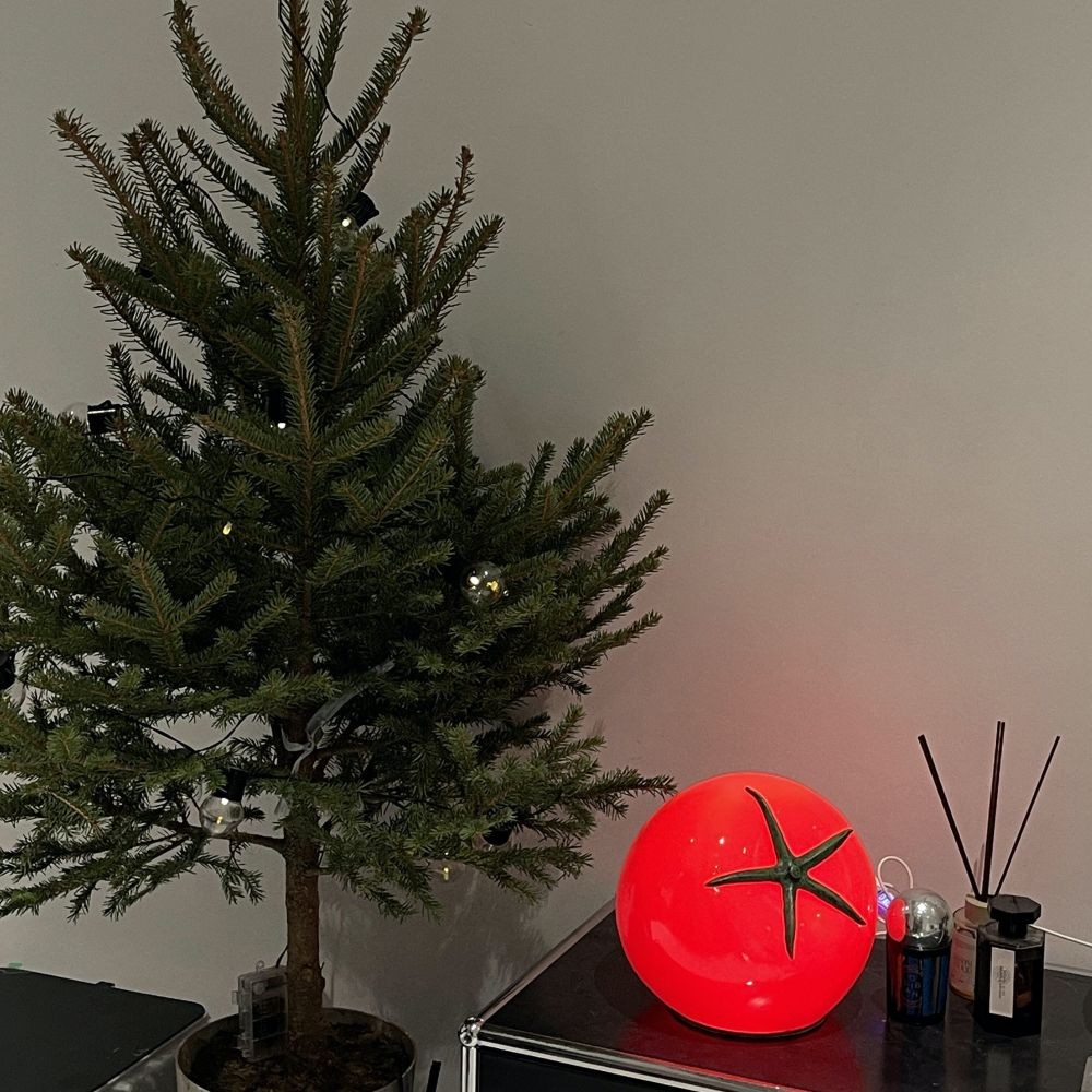Modern Creative Design Tomato Lamp K52