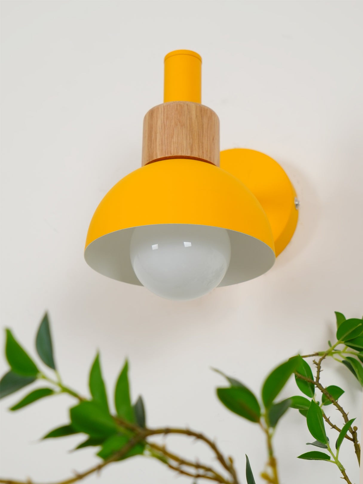 Fanta Wall Lamp K1019