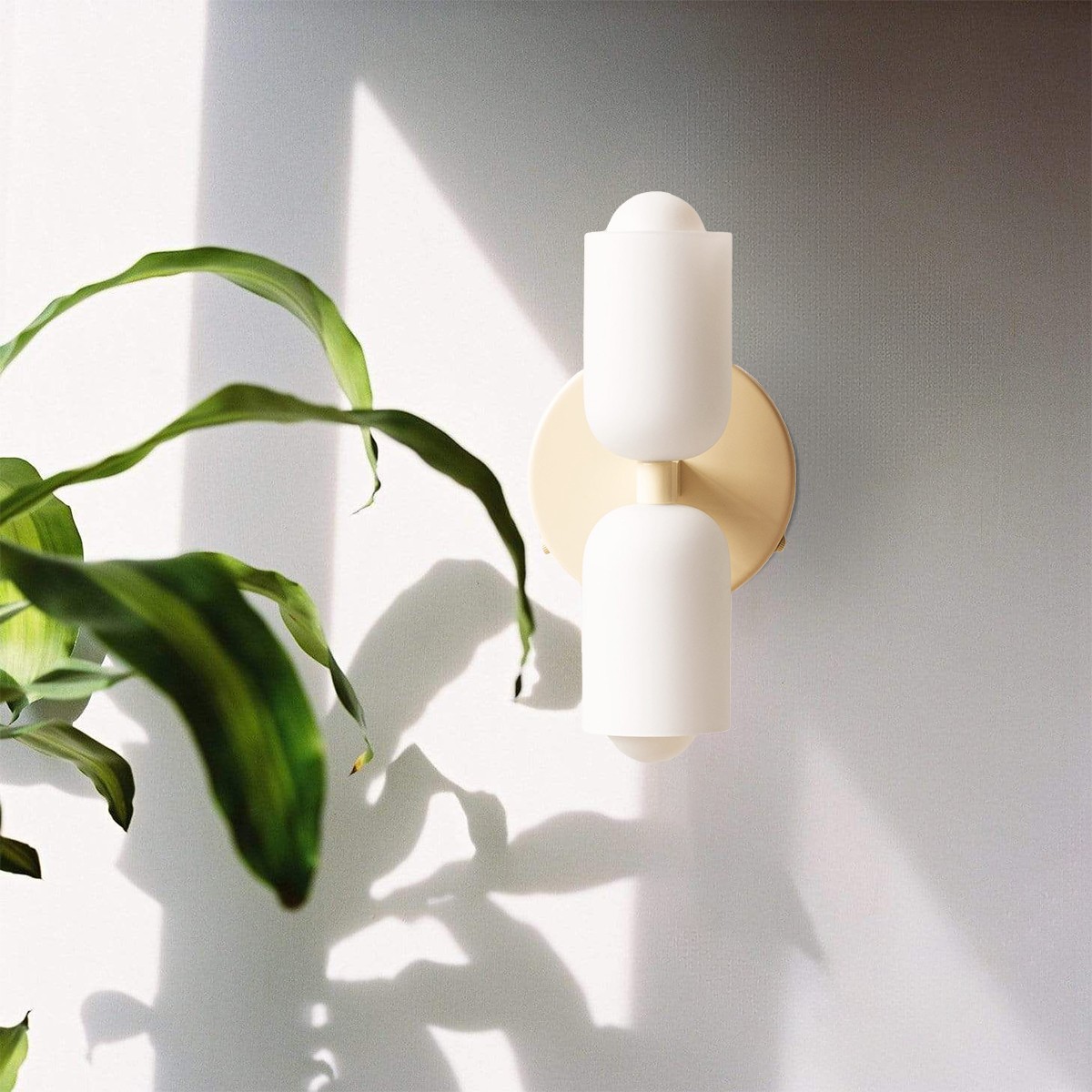 Glass Up Down Wall Sconce