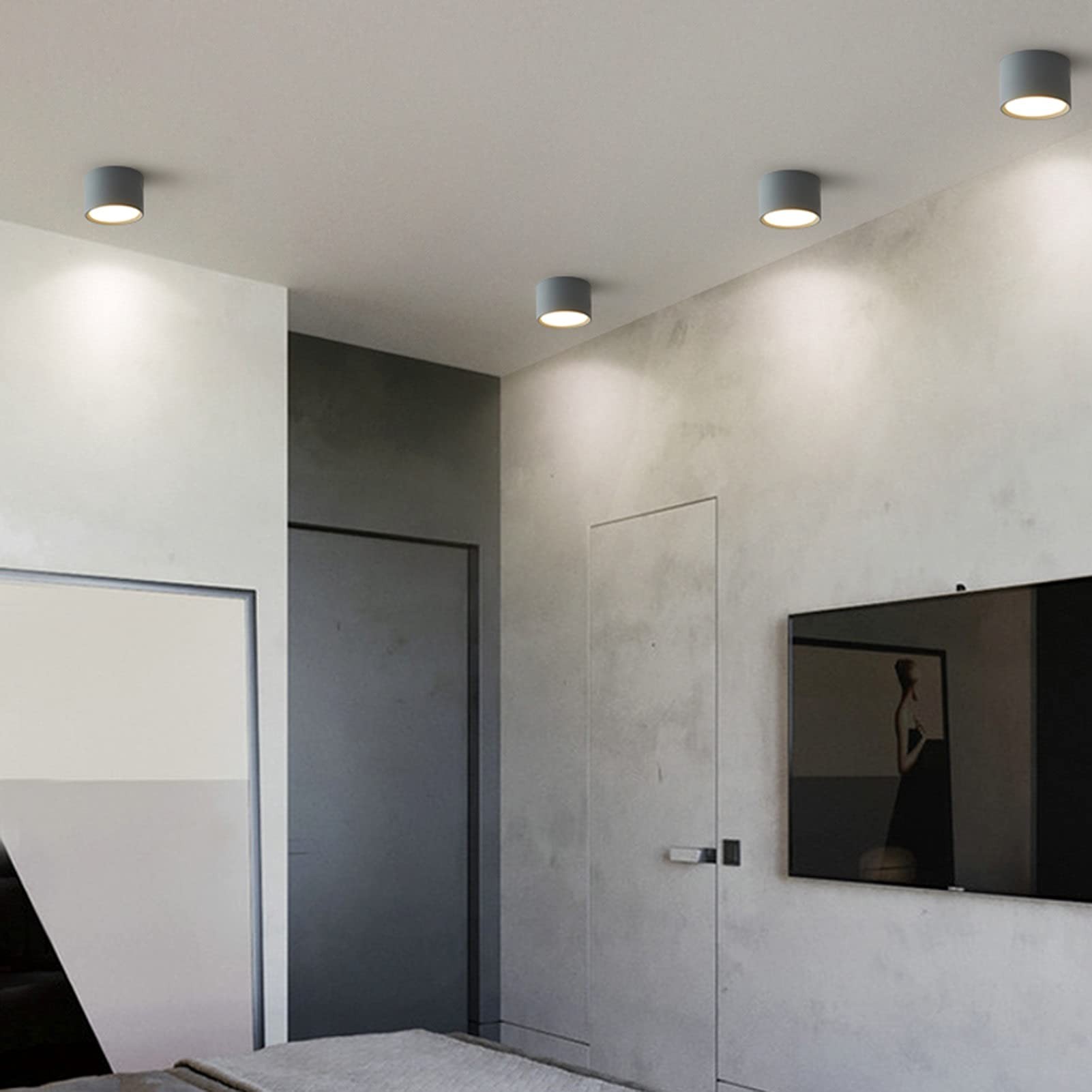 LED Ceiling Light