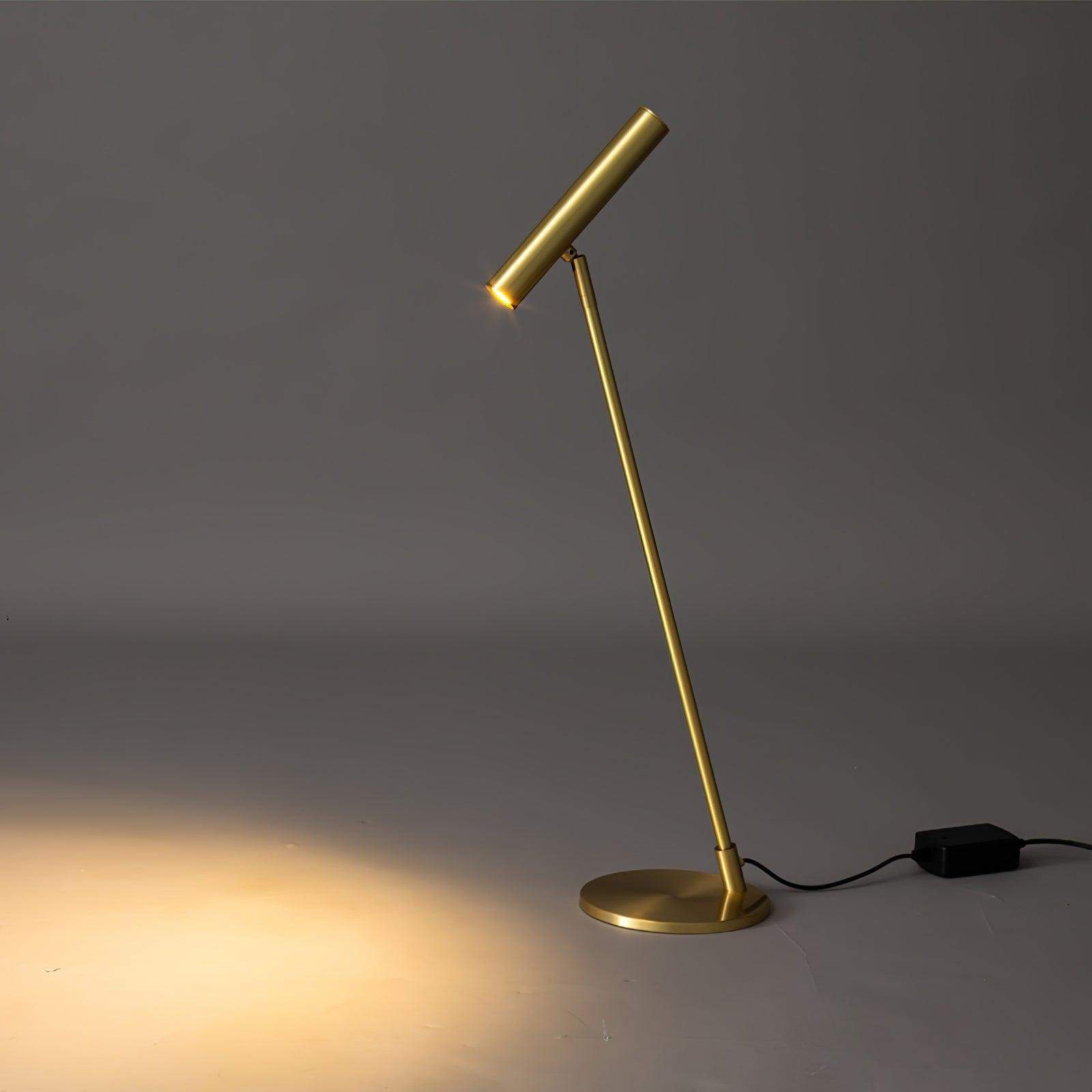 Modern Minimalist Brass Adjustable LED Floor Lamp K707