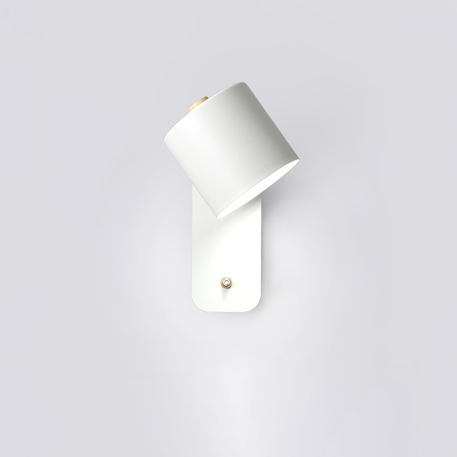 Swivel Cylinder Wall Sconce