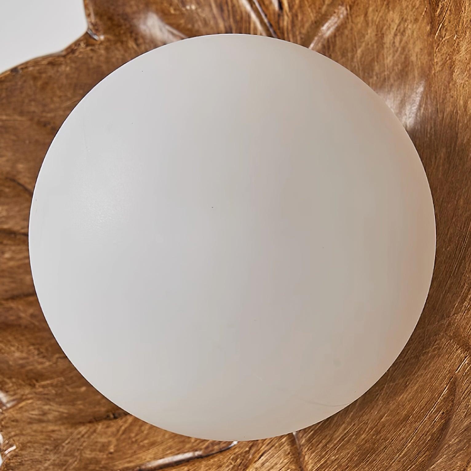 Maple Leaf Wall Light K484