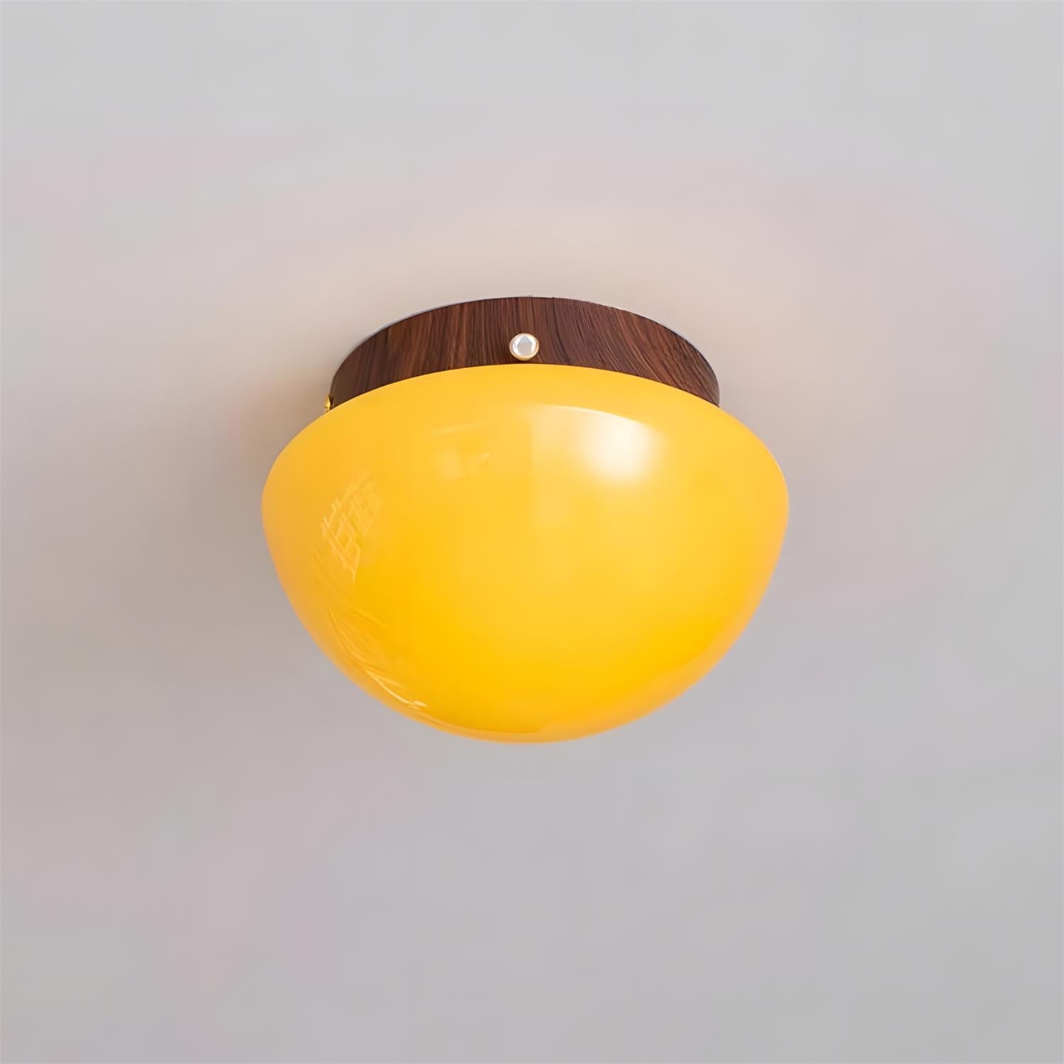 Honeyed Dome Ceiling Lamp D317