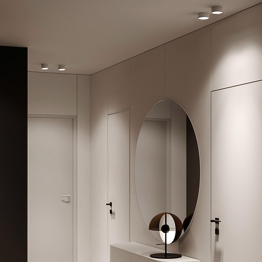 LED Ceiling Light