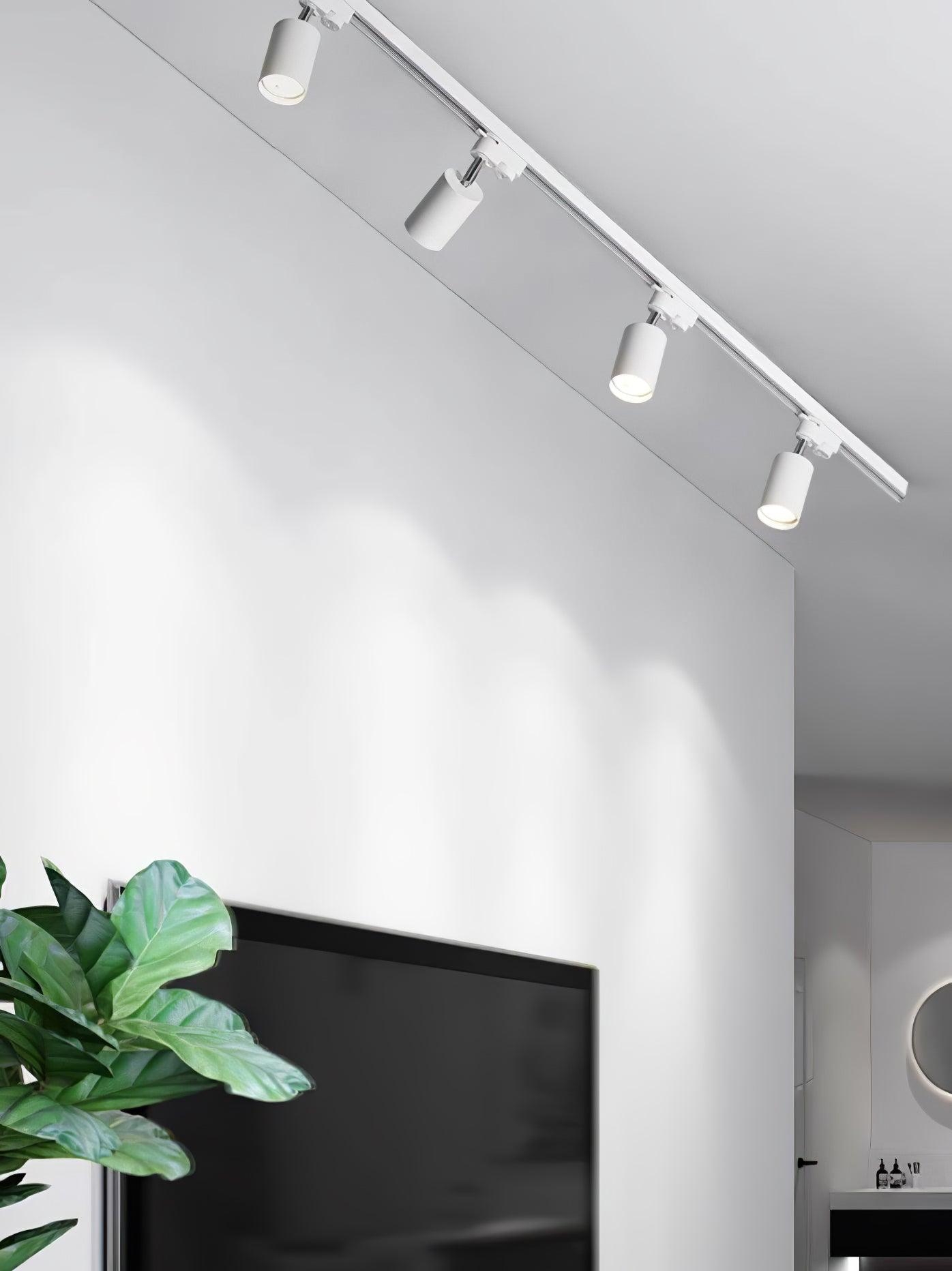 Adjustable Spotlight Track Ceiling Light D379