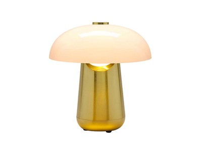 Cloak Mushroom Table Lamp