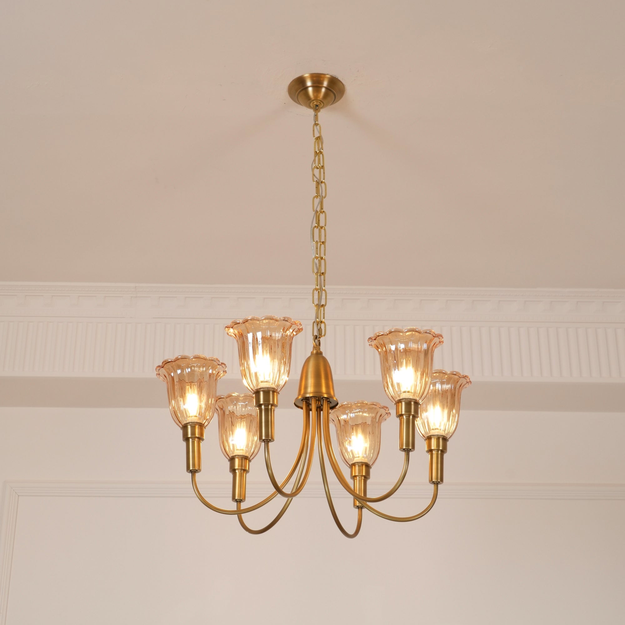 Columbia Brass Chandelier D505