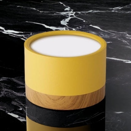 Don Nordic Modern Ceiling Light D881