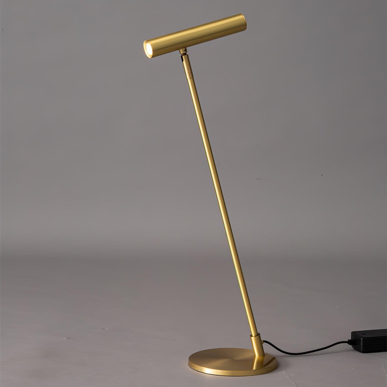 Modern Minimalist Brass Adjustable LED Floor Lamp K707