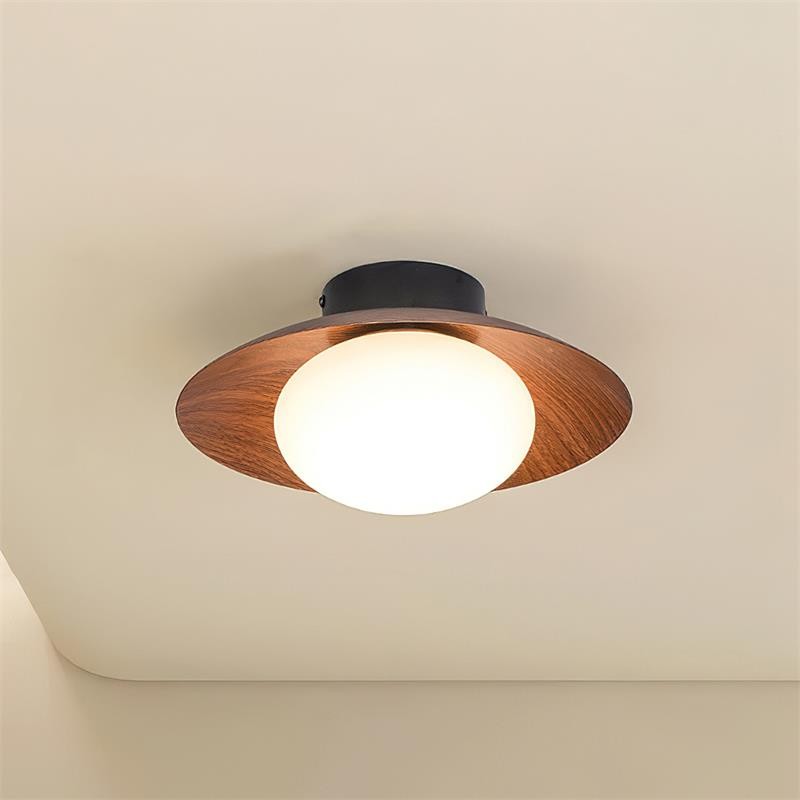 Dawn Creative Simplicity Ceiling Light K345