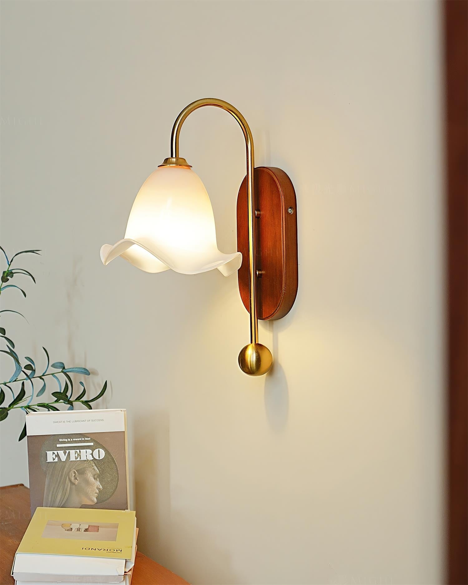 Bellora Wall Lamp D98