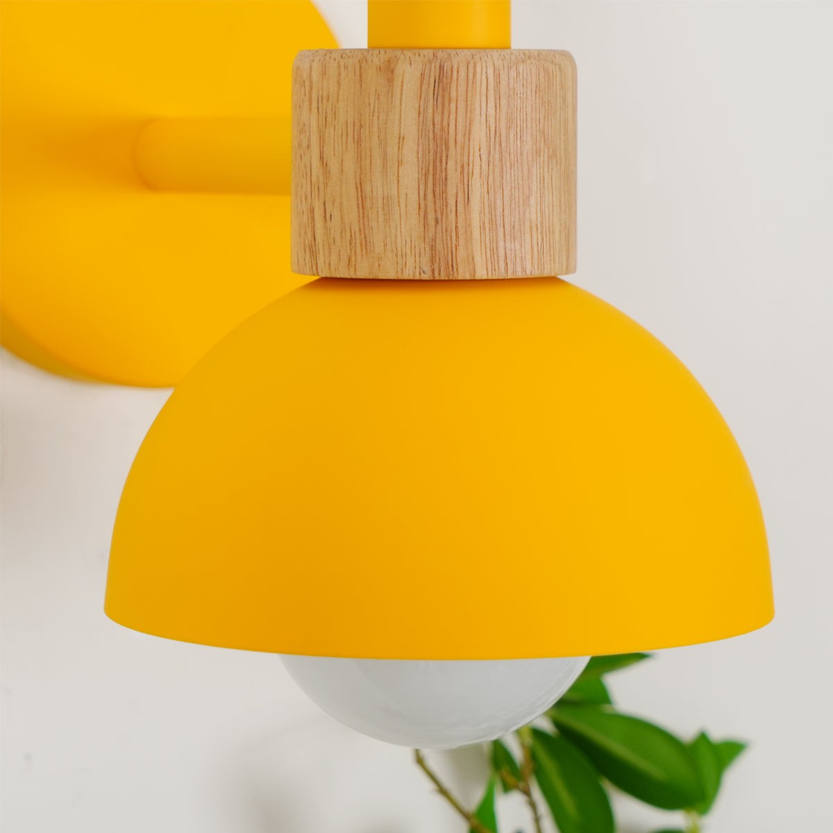 Fanta Wall Lamp K1019