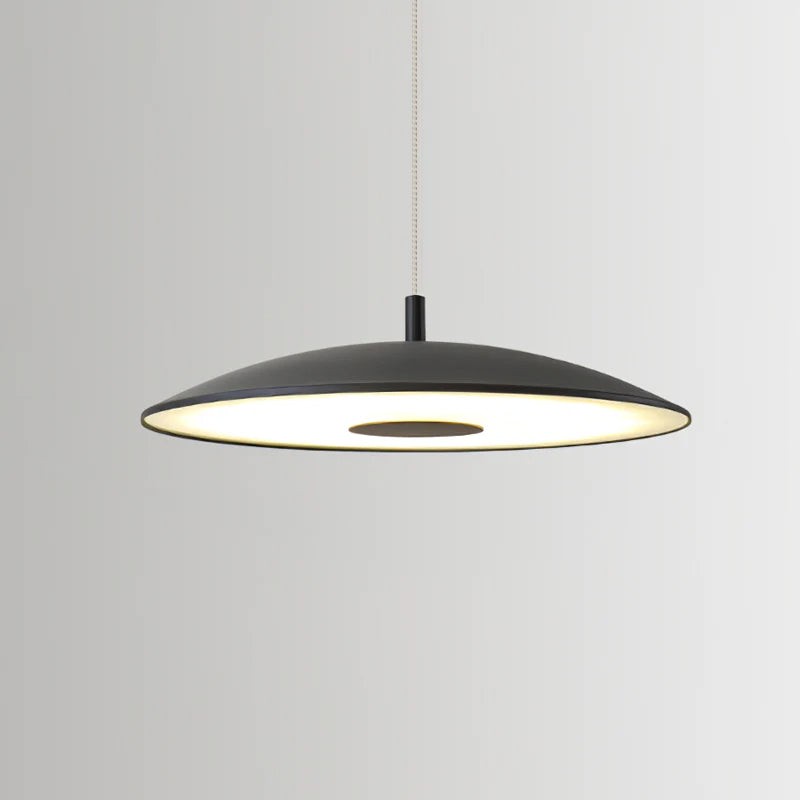 Scope Pendant Lamp K1082