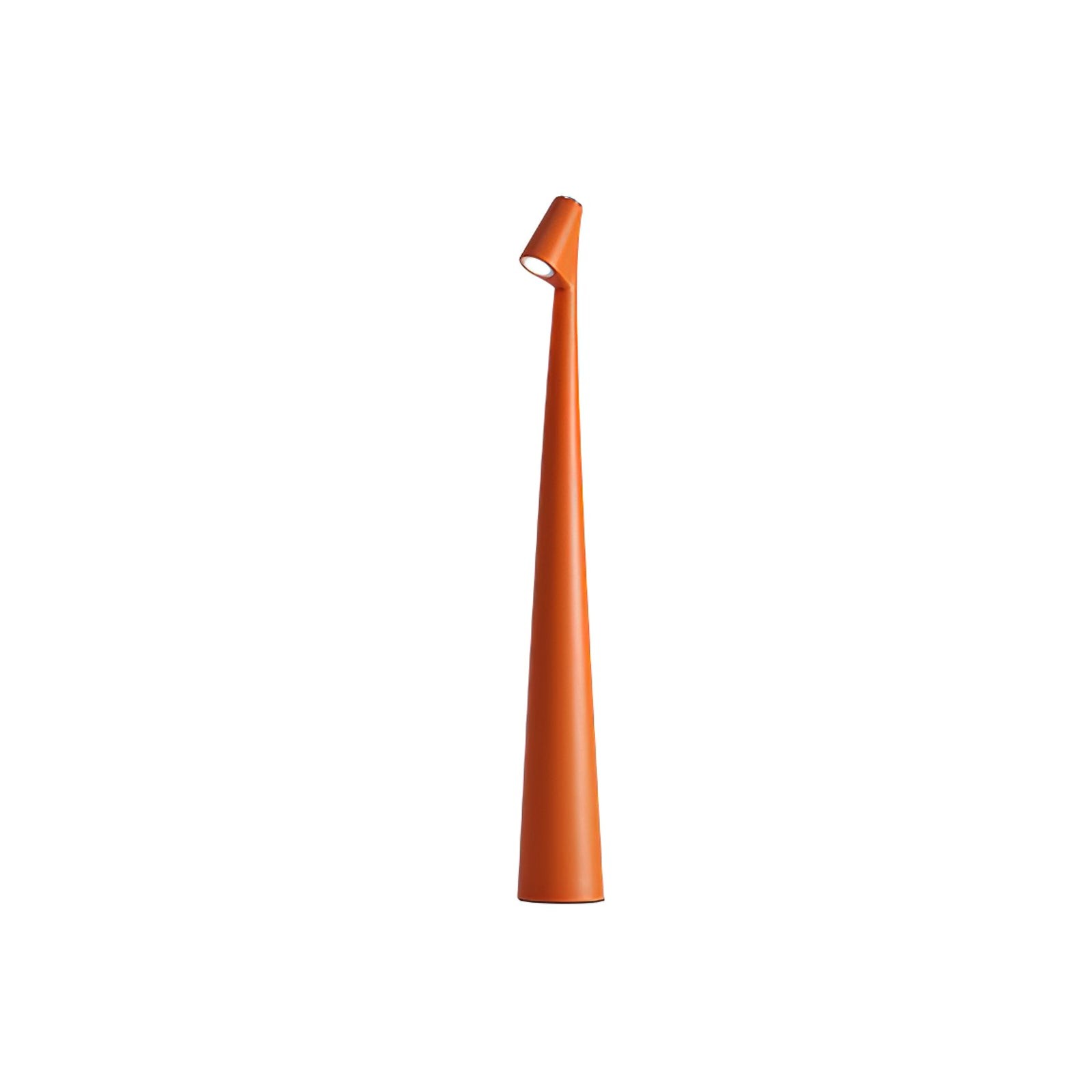 Creative Tall Portable Table Lamp K221